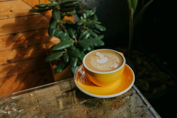 What Are the Key Elements of a Perfectly Assembled UK Festival Outfit?